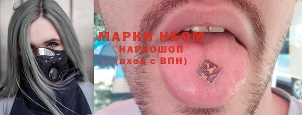 гашик Белая Холуница