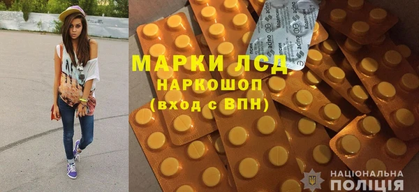 ПСИЛОЦИБИНОВЫЕ ГРИБЫ Вязники