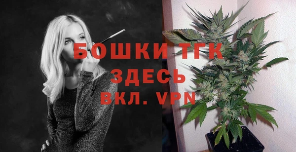 прущий лед Вяземский