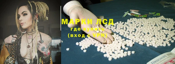 ПСИЛОЦИБИНОВЫЕ ГРИБЫ Вязники