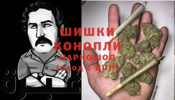ПСИЛОЦИБИНОВЫЕ ГРИБЫ Вязники