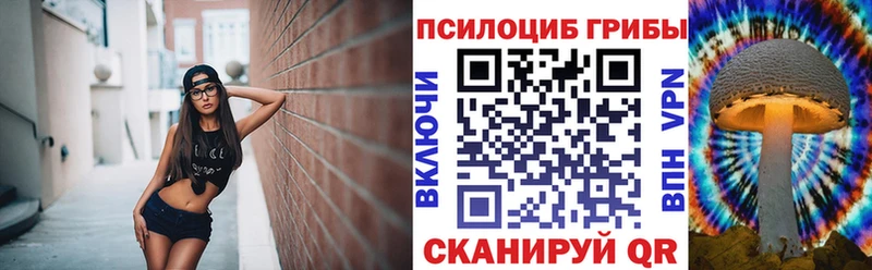 хочу   Калининск  Галлюциногенные грибы прущие грибы 